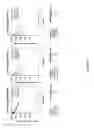 Fig. 40 - CRYSTALLINE INSULIN-CONJUGATES