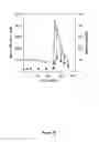 Fig. 45 - CRYSTALLINE INSULIN-CONJUGATES