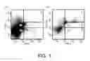 Fig. 02 - ANTIGEN-BINDING MOLECULE PROMOTING DISAPPEARANCE OF ANTIGENS HAVING PLURALITY OF BIOLOGICAL ACTIVITIES