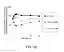 Fig. 22 - ANTIGEN-BINDING MOLECULE PROMOTING DISAPPEARANCE OF ANTIGENS HAVING PLURALITY OF BIOLOGICAL ACTIVITIES