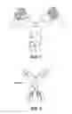 Fig. 02 - IL-23 ANTIBODIES AND METHODS OF USING THE SAME