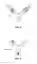 Fig. 03 - IL-23 ANTIBODIES AND METHODS OF USING THE SAME