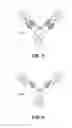 Fig. 04 - IL-23 ANTIBODIES AND METHODS OF USING THE SAME