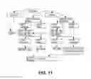 Fig. 07 - IL-23 ANTIBODIES AND METHODS OF USING THE SAME