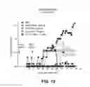 Fig. 08 - IL-23 ANTIBODIES AND METHODS OF USING THE SAME