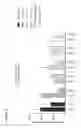 Fig. 07 - Antibody therapeutics that bind LAG3