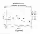Fig. 11 - Prolactin receptor binding proteins and uses thereof