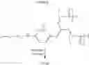 Fig. 57 - Prolactin receptor binding proteins and uses thereof