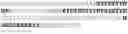 Fig. 65 - Prolactin receptor binding proteins and uses thereof
