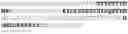 Fig. 66 - Prolactin receptor binding proteins and uses thereof