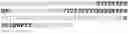Fig. 69 - Prolactin receptor binding proteins and uses thereof
