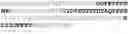 Fig. 71 - Prolactin receptor binding proteins and uses thereof