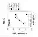 Fig. 05 - Humanized anti-CD70 binding agents and uses thereof