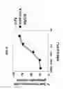 Fig. 08 - Humanized anti-CD70 binding agents and uses thereof