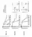 Fig. 09 - Humanized anti-CD70 binding agents and uses thereof