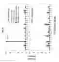 Fig. 11 - Humanized anti-CD70 binding agents and uses thereof