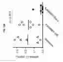 Fig. 17 - Humanized anti-CD70 binding agents and uses thereof