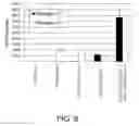 Fig. 07 - Immunoactivating antigen-binding molecule