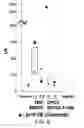Fig. 09 - Immunoactivating antigen-binding molecule