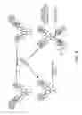 Fig. 06 - MULTISPECIFIC ANTIBODY ANALOGS COMPRISING A COMMON LIGHT CHAIN, AND METHODS OF THEIR PREPARATION AND USE