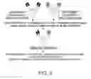 Fig. 03 - NUCLEIC ACID ENCODING BISPECIFIC ANTIBODIES