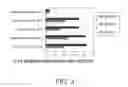 Fig. 04 - NUCLEIC ACID ENCODING BISPECIFIC ANTIBODIES
