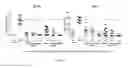 Fig. 06 - Compound targeting IL-23A and B-cell activating factor (BAFF) and uses thereof