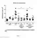Fig. 08 - Compound targeting IL-23A and B-cell activating factor (BAFF) and uses thereof
