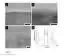 Fig. 05 - Multiblock copolymer films, methods of making same, and uses thereof