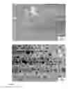 Fig. 10 - Multiblock copolymer films, methods of making same, and uses thereof