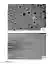 Fig. 11 - Multiblock copolymer films, methods of making same, and uses thereof