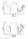 Fig. 03 - PERIODIC STRUCTURED ORGANIC FILMS