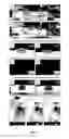 Fig. 05 - Synthetic surfaces with robust and tunable underwater superoleophobicity