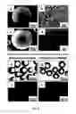 Fig. 13 - Synthetic surfaces with robust and tunable underwater superoleophobicity