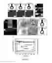 Fig. 20 - Synthetic surfaces with robust and tunable underwater superoleophobicity