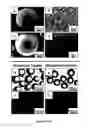 Fig. 30 - Synthetic surfaces with robust and tunable underwater superoleophobicity