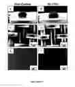 Fig. 31 - Synthetic surfaces with robust and tunable underwater superoleophobicity