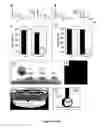 Fig. 34 - Synthetic surfaces with robust and tunable underwater superoleophobicity