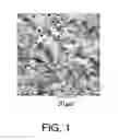 Fig. 02 - Ceramic particles with controlled pore and/or microsphere placement and/or size and method of making same