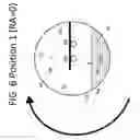 Fig. 08 - Horizontally rocked bioreactor system