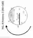 Fig. 10 - Horizontally rocked bioreactor system