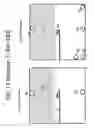 Fig. 14 - Horizontally rocked bioreactor system