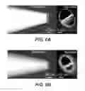 Fig. 08 - Method and apparatus for measuring biological activity with single cell resolution