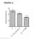Fig. 07 - Method for cell culture