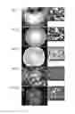 Fig. 04 - Method of culturing pluripotent stem cell, and polypeptide to be used therefor
