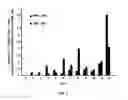 Fig. 10 - Method for generating endothelial colony forming cell-like cells
