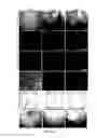 Fig. 15 - Method for generating endothelial colony forming cell-like cells