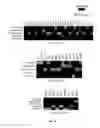 Fig. 22 - Method for generating endothelial colony forming cell-like cells