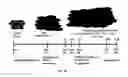 Fig. 32 - Method for generating endothelial colony forming cell-like cells