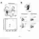 Fig. 02 - Methods of producing T cell populations enriched for stable regulatory T-cells
